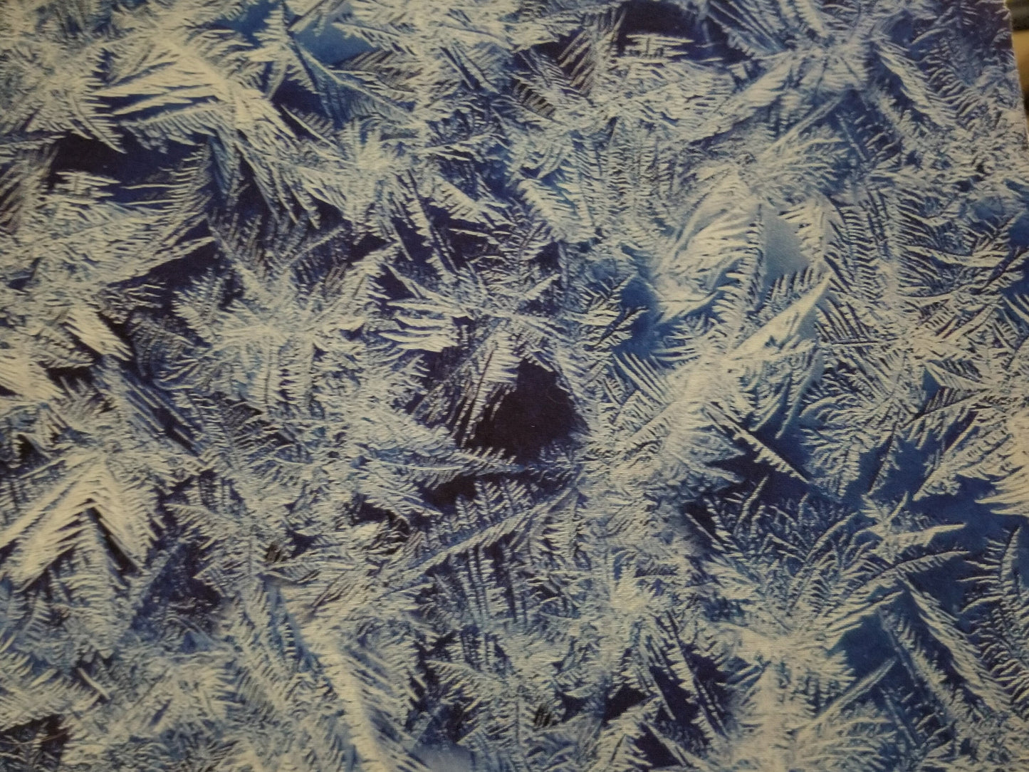 Frosted Pine Needles Print Winter Style Pixie Style Scrub Cap, Euro style scrub cap