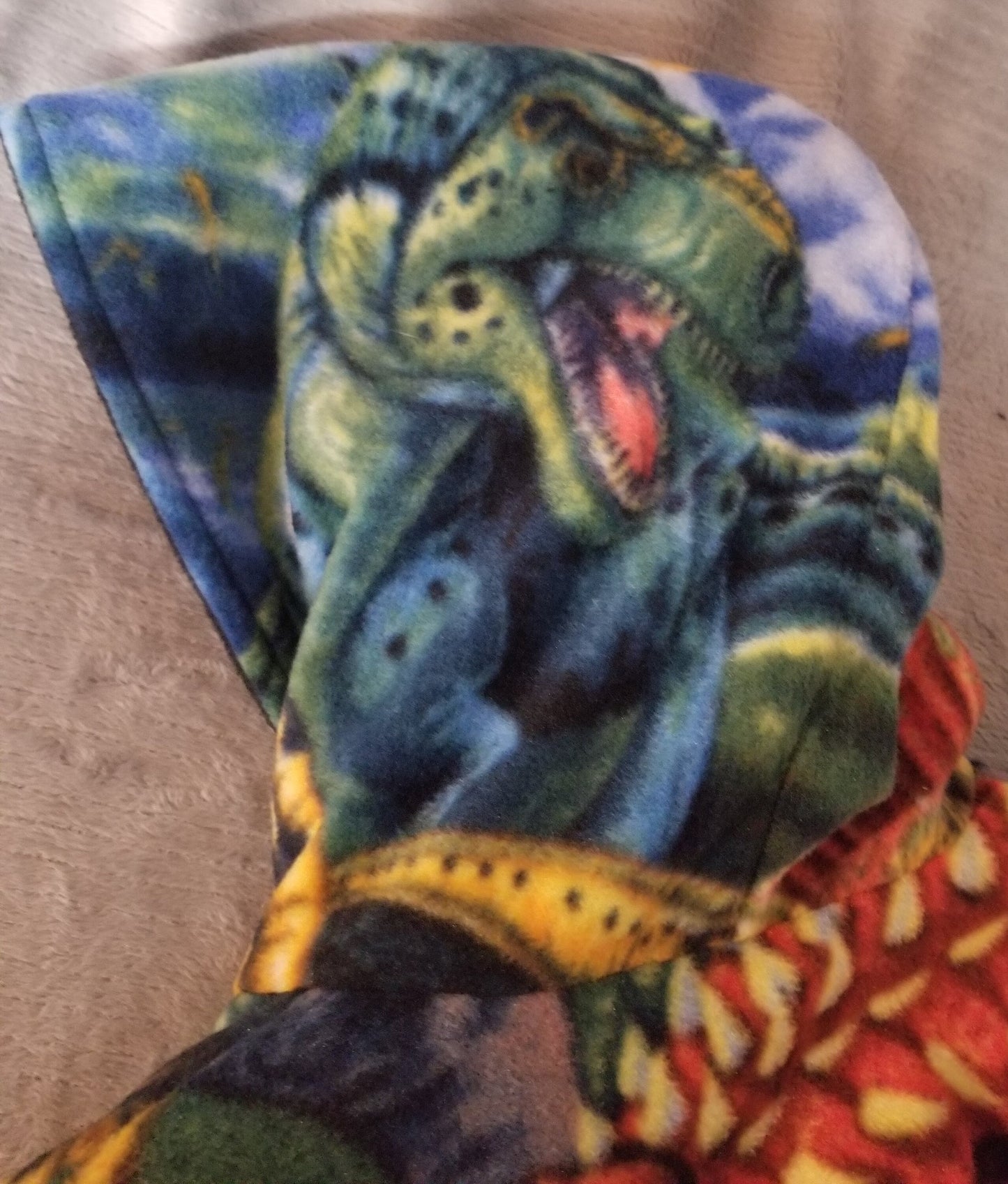 Dinosaur Print Anti Pill Fleece Hooded Jacket with Black Anti Pill Fleece Lining Size 5, Warm Hooded Fleece Jacket with Pockets
