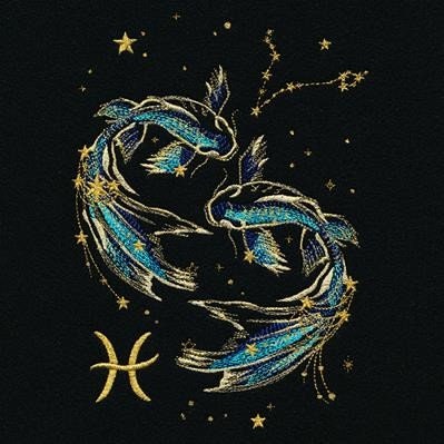 Pisces Hoodie, Pisces Constellation Embroidered Hoodie in Black, Zodiac Hoodie, Horoscope Hoodie, Astrology Hoodie, Birthday Hoodie